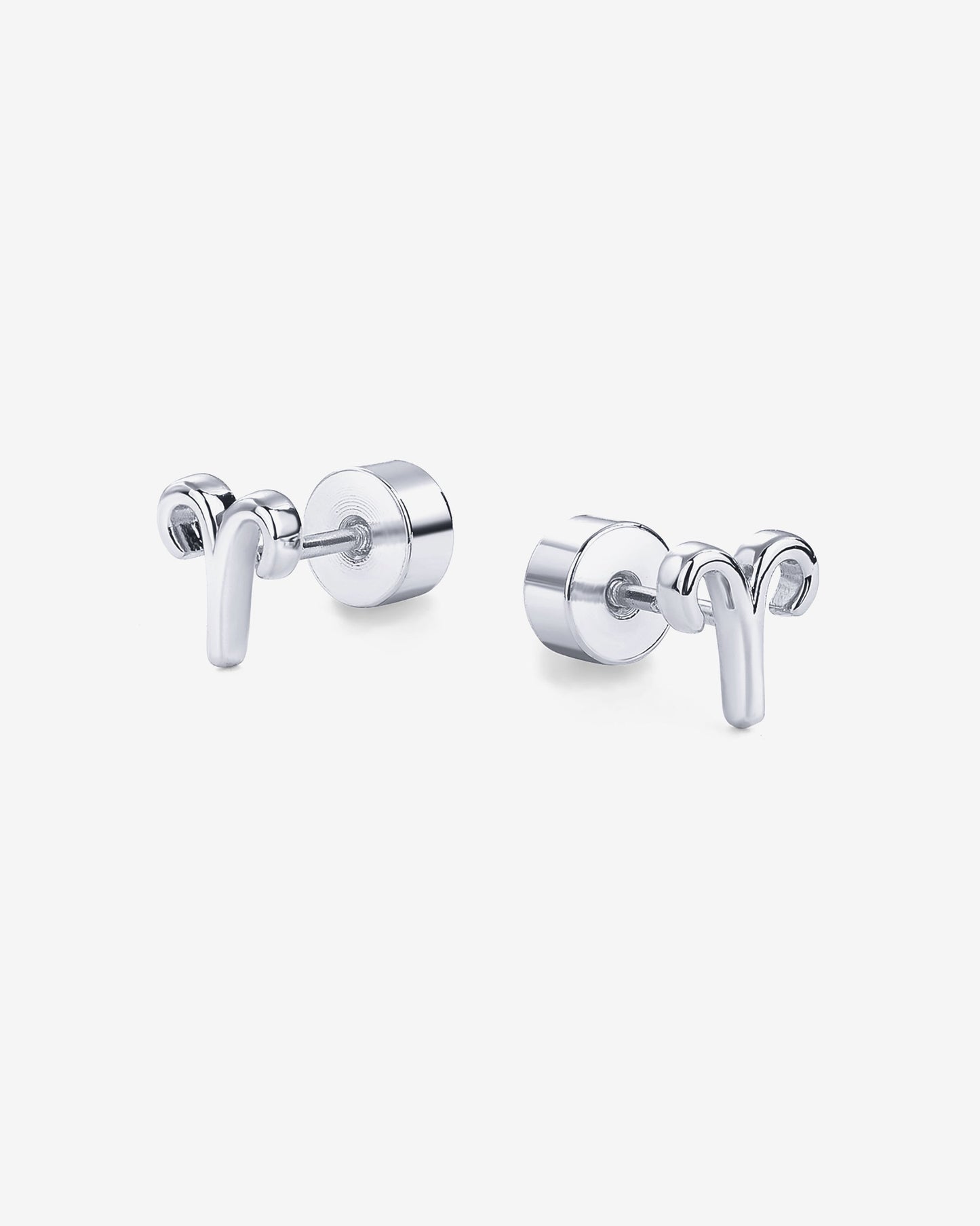What's Your Sign Horoscope Earrings