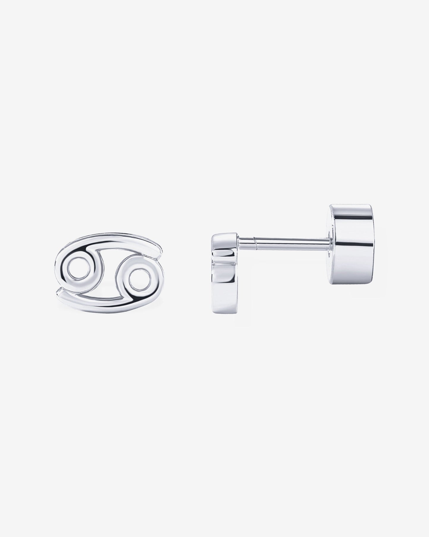 What's Your Sign Horoscope Earrings