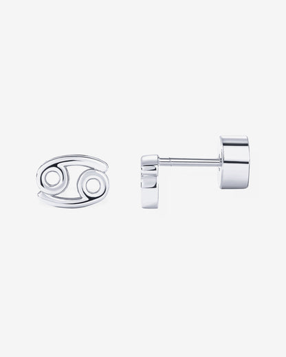What's Your Sign Horoscope Earrings