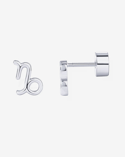 What's Your Sign Horoscope Earrings
