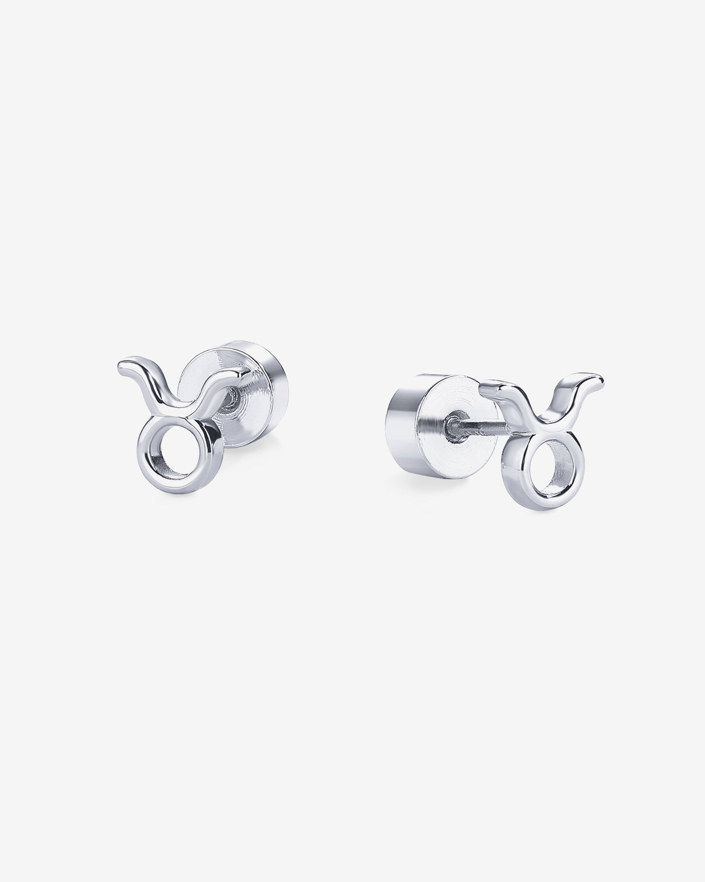 What's Your Sign Horoscope Earrings