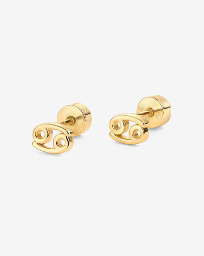 What's Your Sign Horoscope Earrings