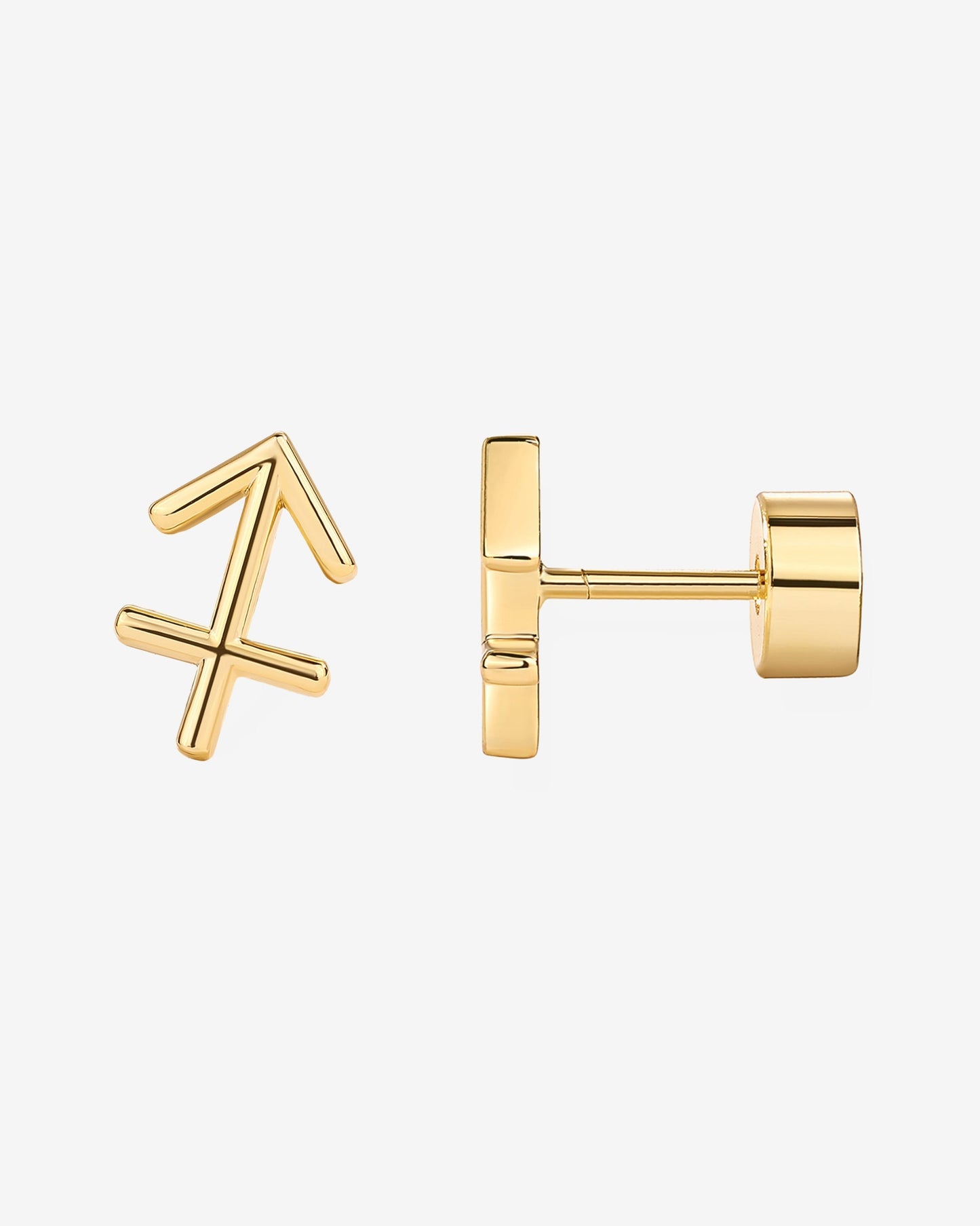 What's Your Sign Horoscope Earrings