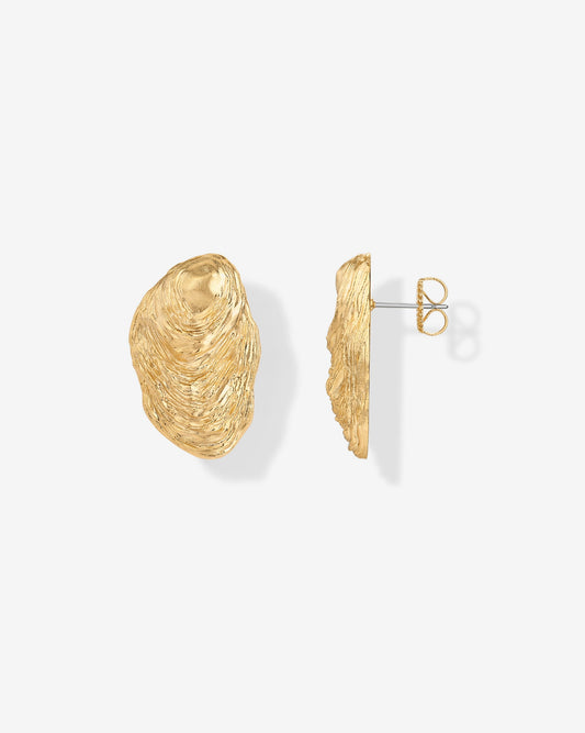 Ocean Shell Earrings