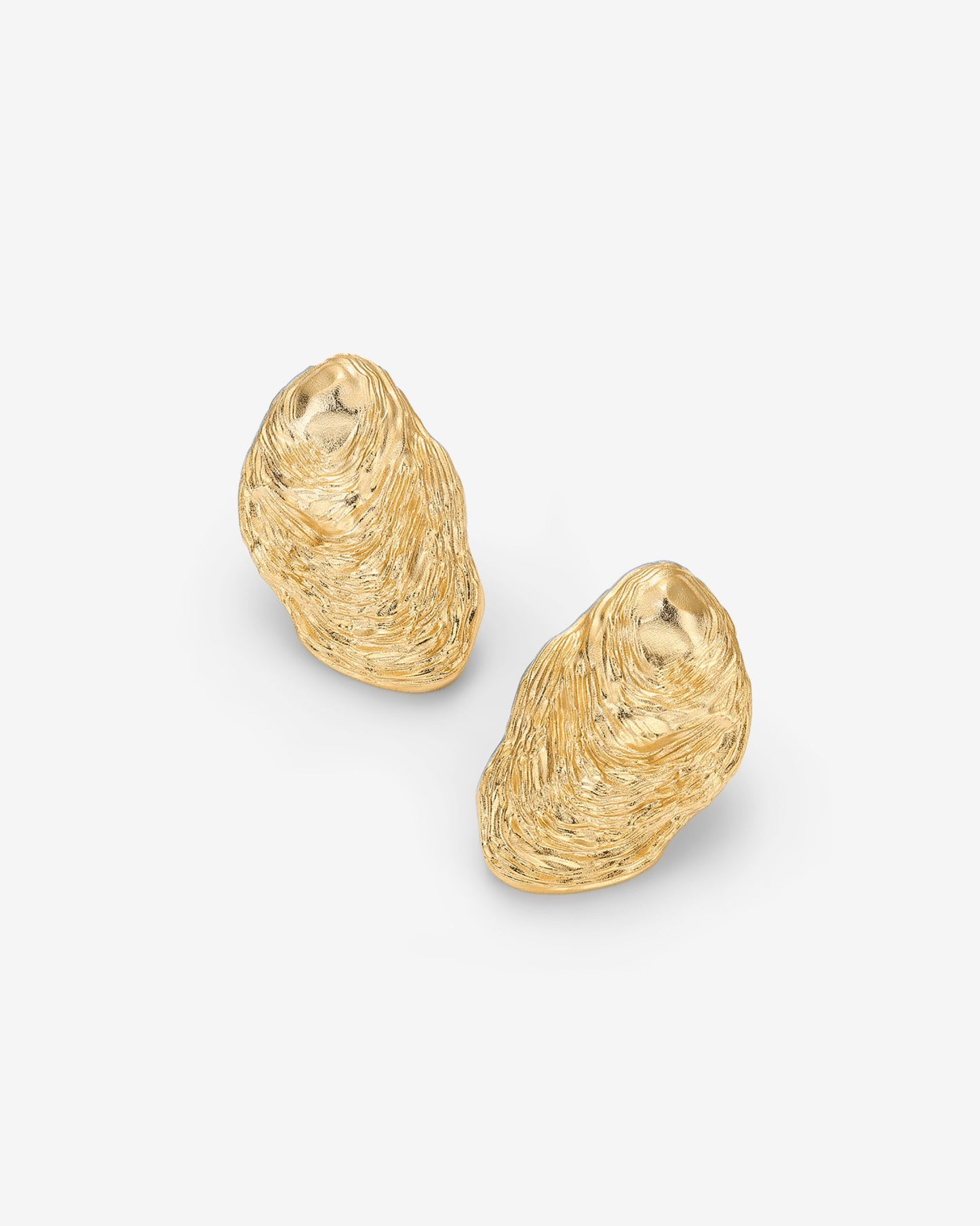 Ocean Shell Earrings